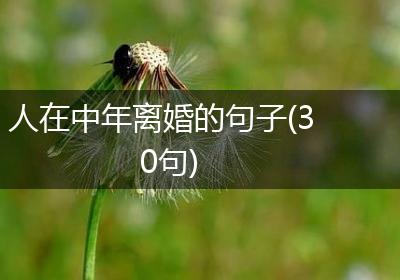 人在中年离婚的句子(30句)