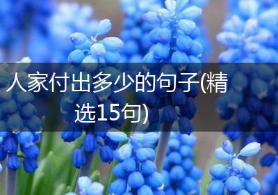 人家付出多少的句子(精选15句)