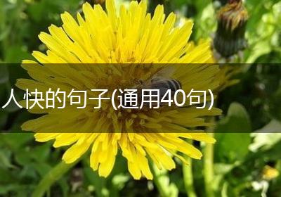 人快的句子(通用40句)