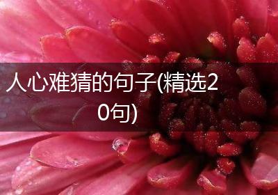 人心难猜的句子(精选20句)