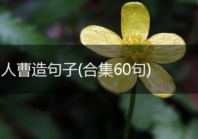 人曹造句子(合集60句)