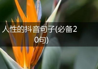 人性的抖音句子(必备20句)