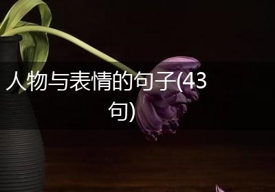 人物与表情的句子(43句)