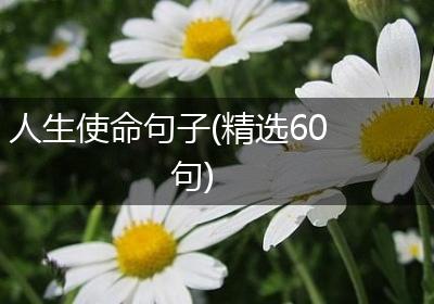 人生使命句子(精选60句)
