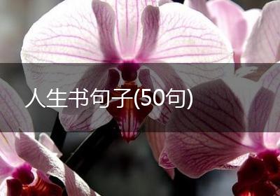 人生书句子(50句)