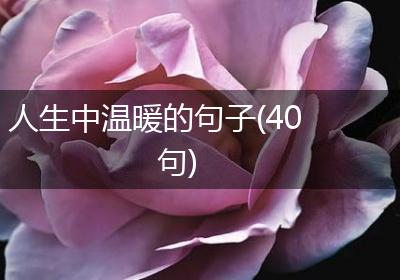 人生中温暖的句子(40句)