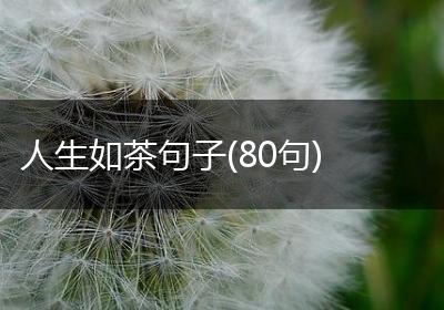 人生如茶句子(80句)