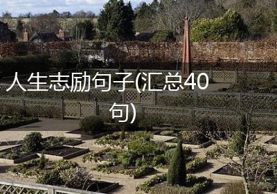 人生志励句子(汇总40句)