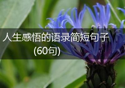 人生感悟的语录简短句子(60句)