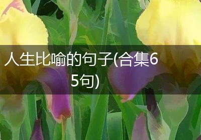人生比喻的句子(合集65句)