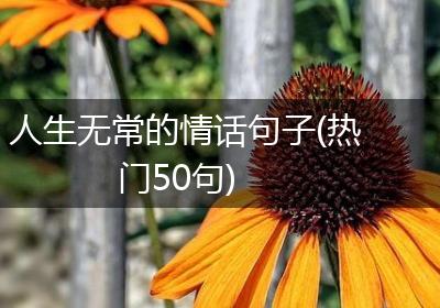 人生无常的情话句子(热门50句)