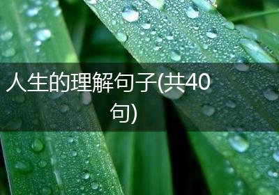 人生的理解句子(共40句)