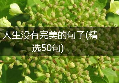 人生没有完美的句子(精选50句)