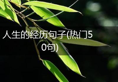 人生的经历句子(热门50句)