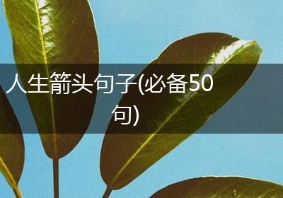 人生箭头句子(必备50句)