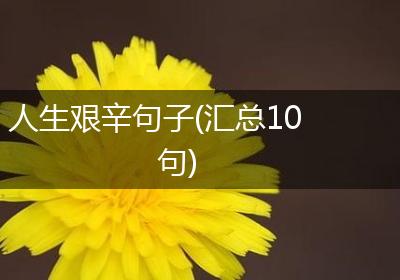 人生艰辛句子(汇总10句)