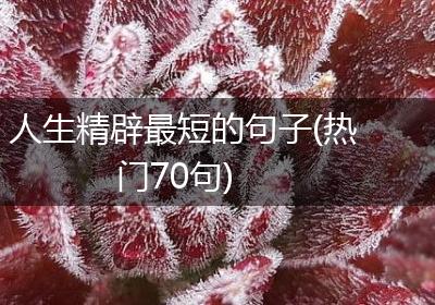 人生精辟最短的句子(热门70句)