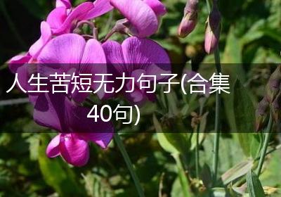 人生苦短无力句子(合集40句)