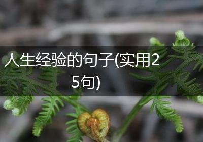 人生经验的句子(实用25句)