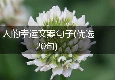 人的幸运文案句子(优选20句)