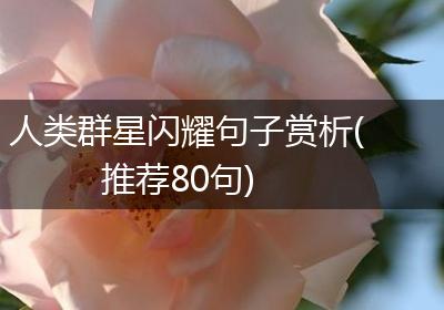人类群星闪耀句子赏析(推荐80句)