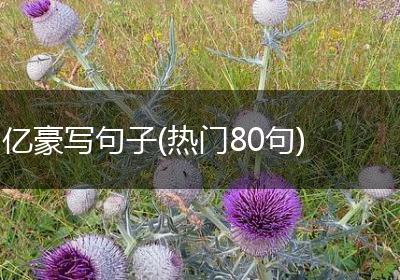 亿豪写句子(热门80句)