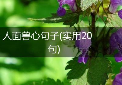 人面兽心句子(实用20句)