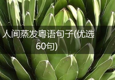 人间蒸发粤语句子(优选60句)