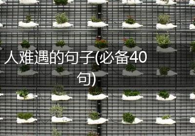 人难遇的句子(必备40句)