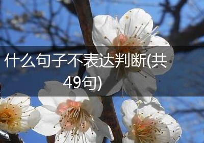什么句子不表达判断(共49句)