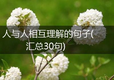 人与人相互理解的句子(汇总30句)