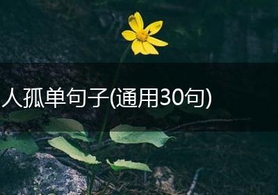 人孤单句子(通用30句)