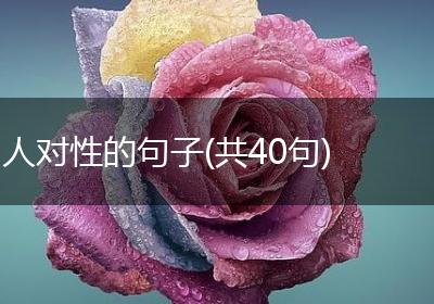 人对性的句子(共40句)