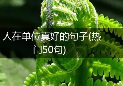 人在单位真好的句子(热门50句)
