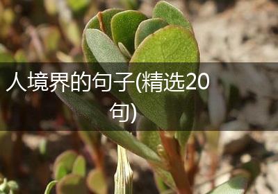 人境界的句子(精选20句)