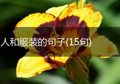 人和服装的句子(15句)