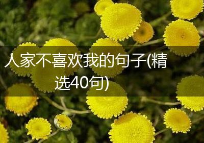 人家不喜欢我的句子(精选40句)