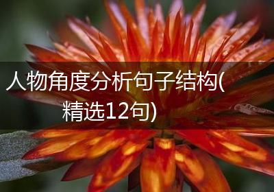 人物角度分析句子结构(精选12句)