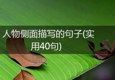 人物侧面描写的句子(实用40句)