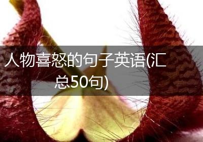 人物喜怒的句子英语(汇总50句)