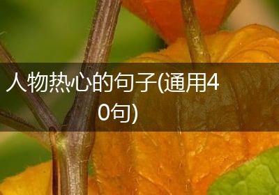 人物热心的句子(通用40句)