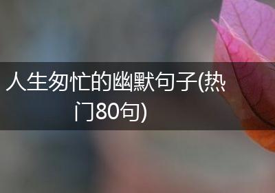 人生匆忙的幽默句子(热门80句)