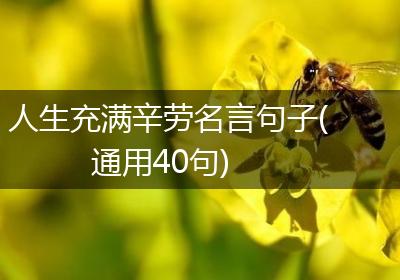 人生充满辛劳名言句子(通用40句)