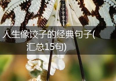 人生像饺子的经典句子(汇总15句)