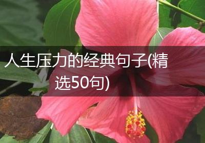 人生压力的经典句子(精选50句)