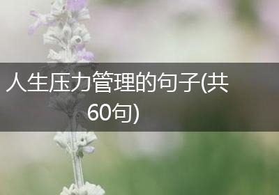 人生压力管理的句子(共60句)