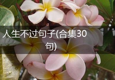 人生不过句子(合集30句)