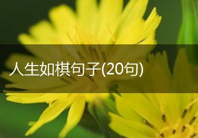 人生如棋句子(20句)