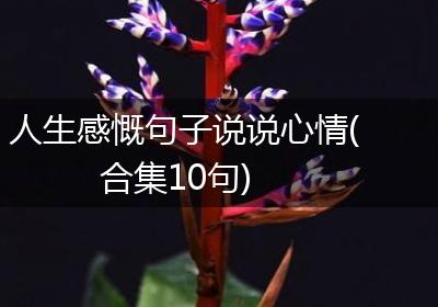 人生感慨句子说说心情(合集10句)
