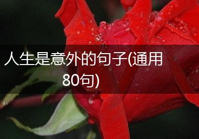 人生是意外的句子(通用80句)